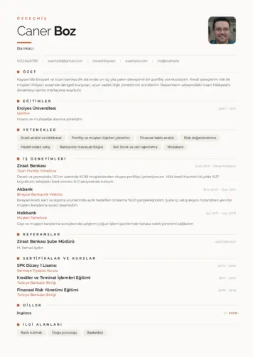  cv indir